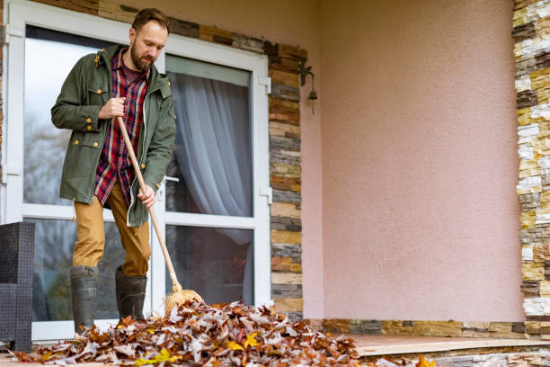 Best Electronics Removal Services  in Patterson, LA